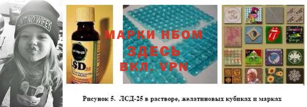 тгк Осташков