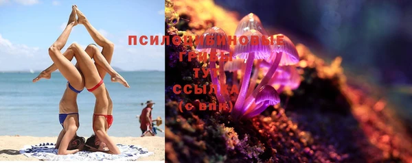 прущие крисы Аркадак