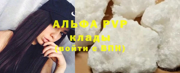мдпв Пестово