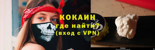 мдпв Пестово