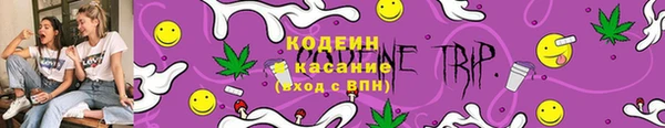 тгк Осташков