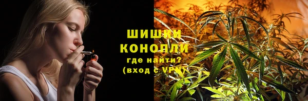 гидра Осинники