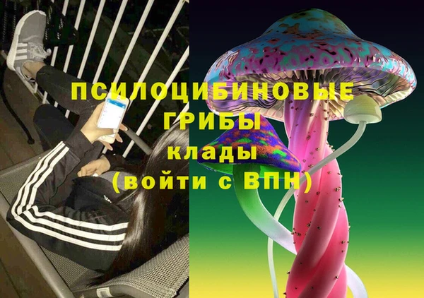 круглые Елизово