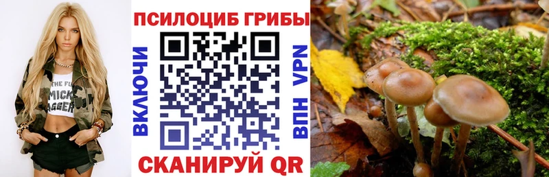 Псилоцибиновые грибы ЛСД  Пугачёв 